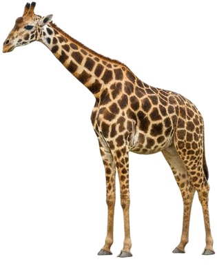 gi gi gi gi gi gi gi gi gi gi gi gi gi gi gi gi gi gi gi gi.jpg